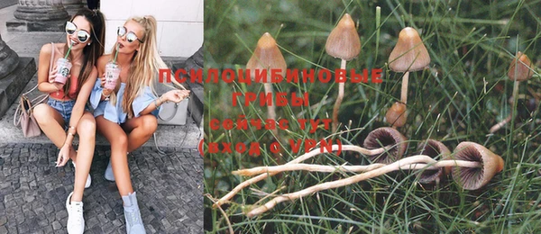 мет Горнозаводск
