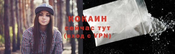 винт Горно-Алтайск