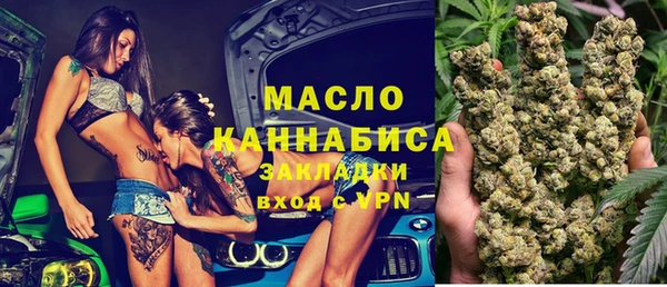 гидра Гусев