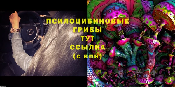 винт Горно-Алтайск