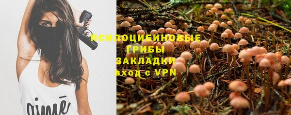 стафф Горняк