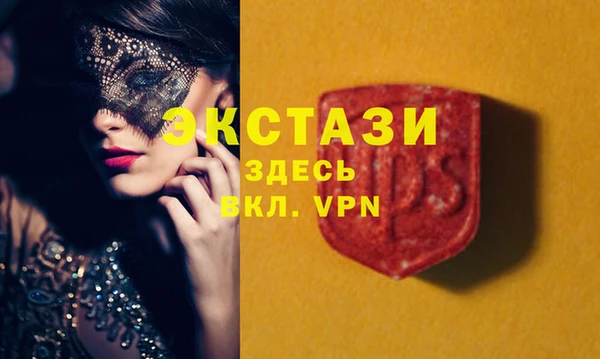 гидра Гусев
